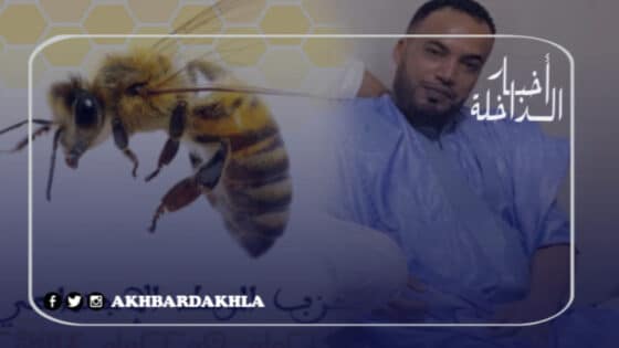 حمدي مشنان مرشح حزب الوسط الاجتماعي 