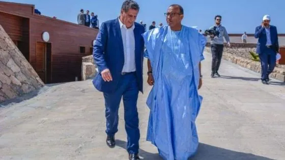 حزب “الحمامة” يتصدر نتائج انتخاب أعضاء مجالس العمالات والأقاليم