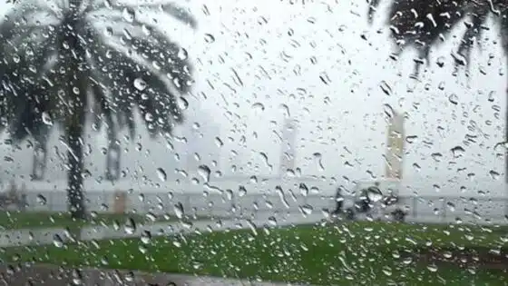 أمطار مهيئة للنزول غدا في هذه المناطق
