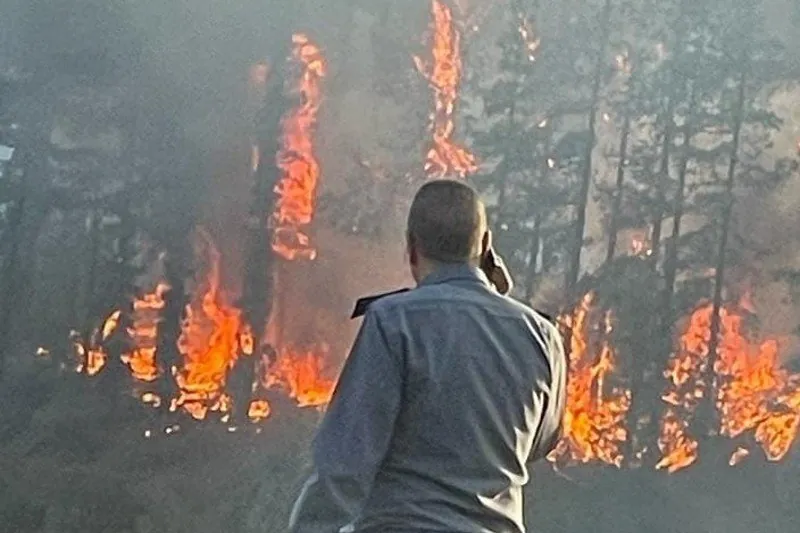 incendie foret taounate