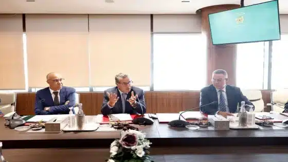 عاجل..أخنوش يلتقي نقابة التعليم العالي ويلتزم بالتجاوب مع مطالب الأساتذة الباحثين