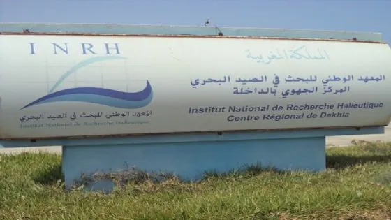 التحـ.ـرش الجـ.ـنسي/ومحـ.ـاولة الإغتـ.ـصاب… مدير معهد البحث في الصيد البحري بالداخلة تحت الحراسة النظرية