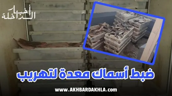 ضبط كمية من أسماك مركب صيد بالخيط موجهة للتهريب بميناء الداخلة 