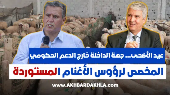 عيد الأضحى… جهة الداخلة خارج الدعم الحكومي المخصص لرؤوس الأغنام المستوردة