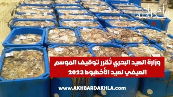 وزارة الصيد البحري تُقرر توقيف الموسم الصيفي لصيد الأخطبوط 2023