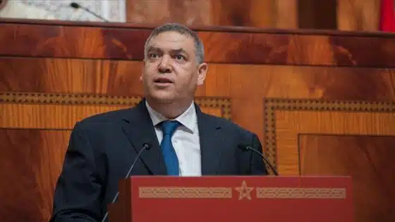وزير الداخلية يعتبر ارتفاع أعداد المتشردين والمرضى العقليين آفة مجتمعية تستدعي التعاطي معها