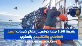بقيمة 8,68 مليار درهم.. إرتفاع مفرغات الصيد الساحلي والتقليدي
