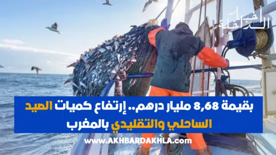بقيمة 8,68 مليار درهم.. إرتفاع مفرغات الصيد الساحلي والتقليدي