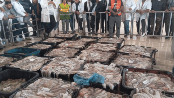 ادارة الصيد البحري بالداخلة تعلن عن أوقات استقبال المصطادات بأسواق السمك في شهر رمضان