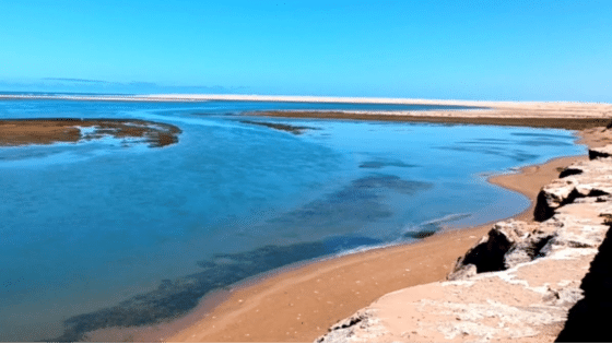 مصرع ثلاثة مرشحين للهجرة غير النظامية غرقا في محاولة لعبور البحر انطلاقا من منطقة “النعيلة”