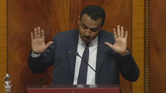 شهيد ينتقد استحواذ الحكومة على وسائل الإعلام الوطنية ويطالب بالمزيد من الفرص للمعارضة