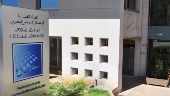 من بينهم الإستقلالي عادل بن حمزة.. تعيينات جديدة في “الهاكا”
