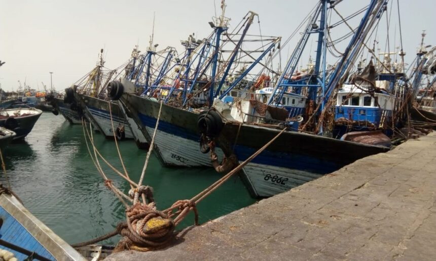 Port dakhla