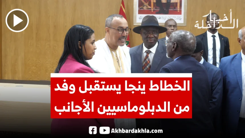 الخطاط ينجا 1