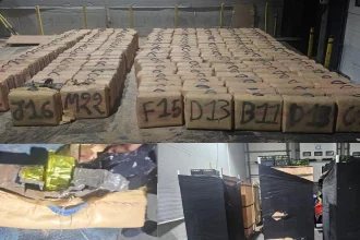 إحباط محاولة تهريب