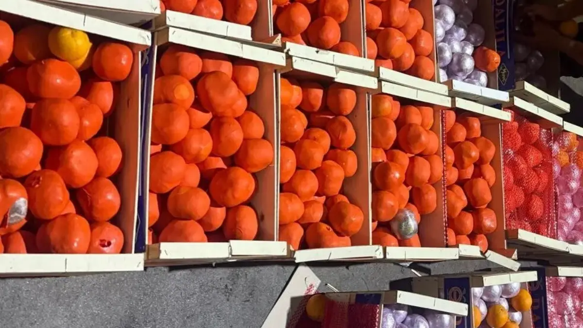 ضبط أزيد من 4 أطنان من الحشيش