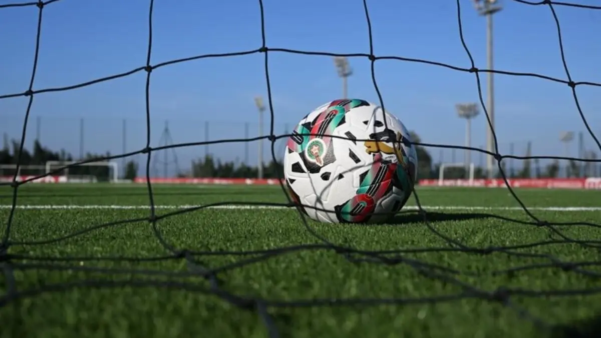 الدوري الاحترافي